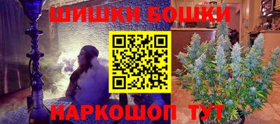 индика Гусев