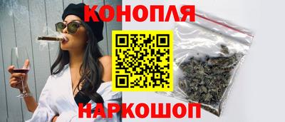 индика Гусев