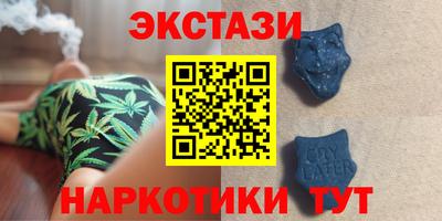 индика Гусев