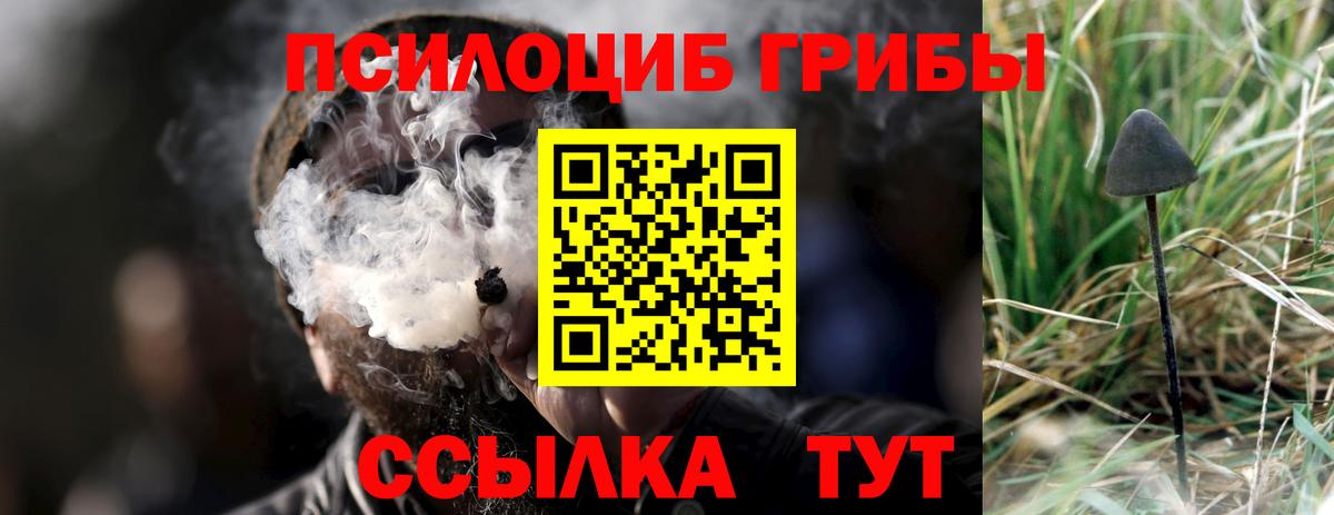 Галлюциногенные грибы мицелий  Вход с VPN  Новоуральск  Галлюциногенные грибы Psilocybe 